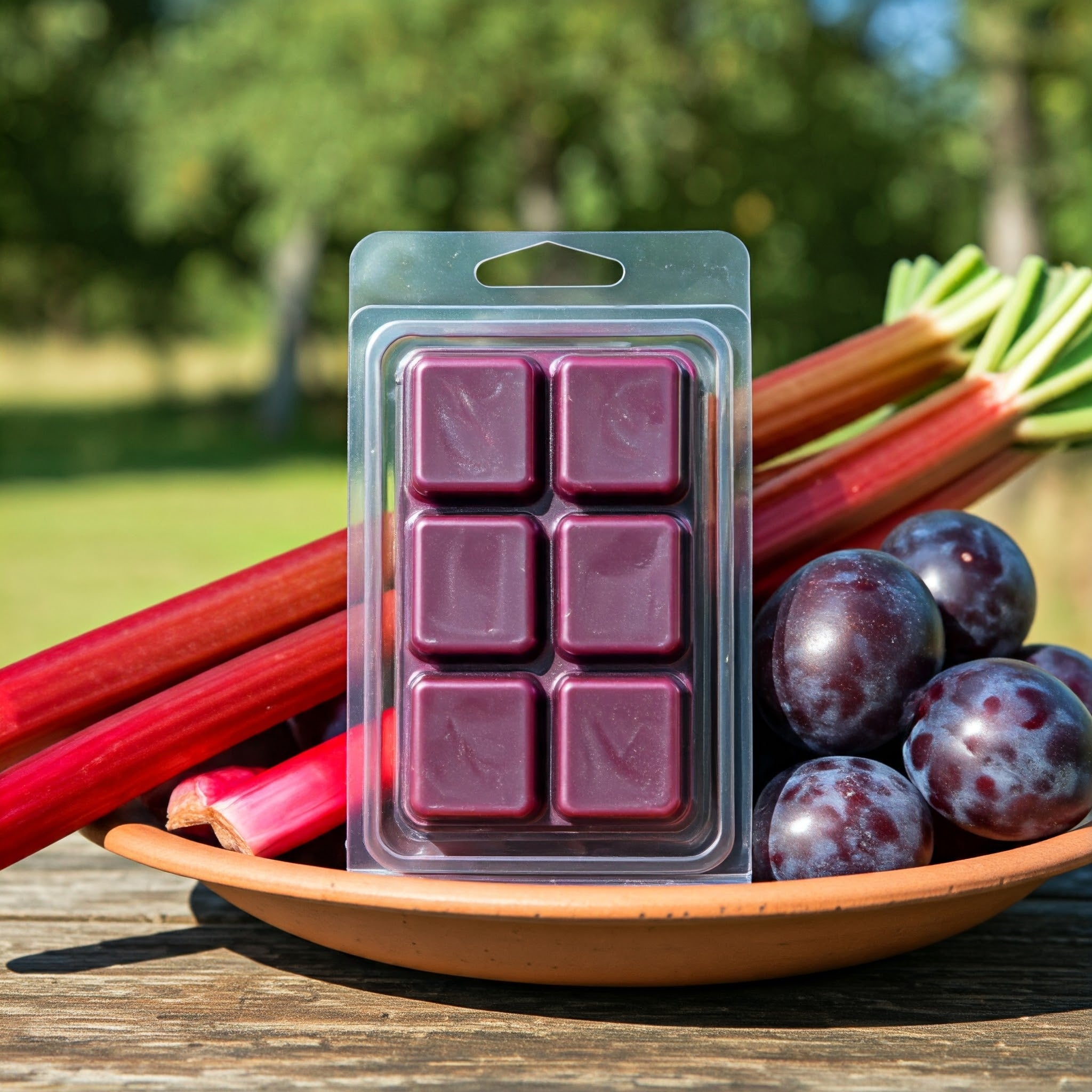 Plum Rhubarb Delight